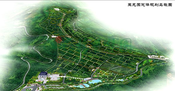 人生就是搏(中国集团)官方网站