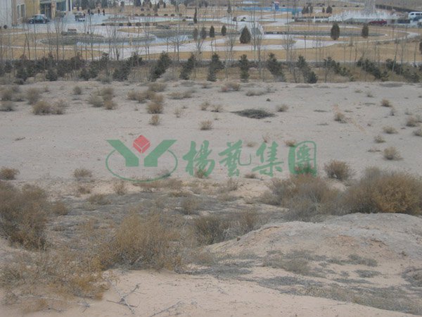 人生就是搏(中国集团)官方网站