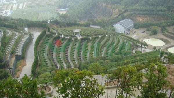 人生就是搏(中国集团)官方网站