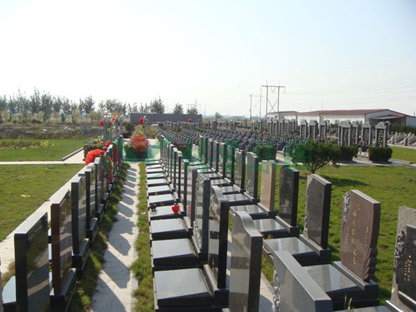 人生就是搏(中国集团)官方网站