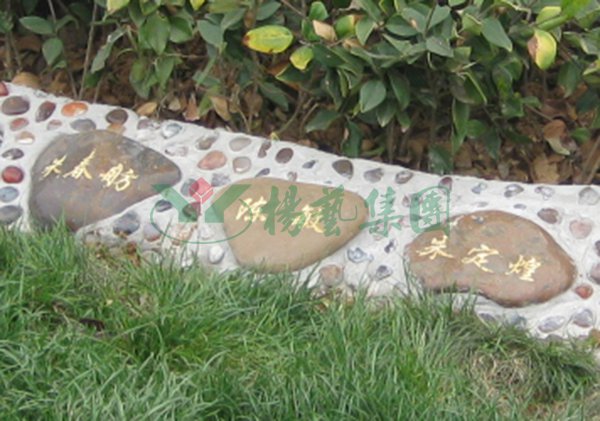 人生就是搏(中国集团)官方网站