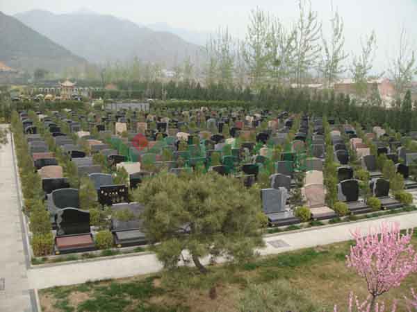 人生就是搏(中国集团)官方网站