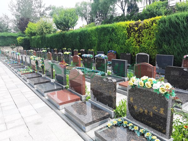 人生就是搏(中国集团)官方网站