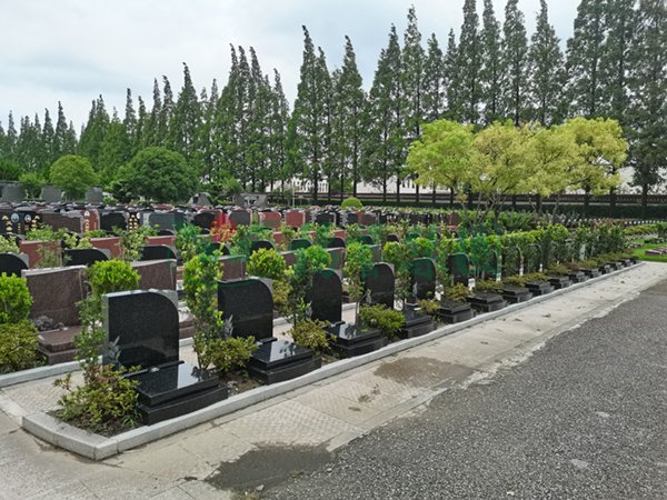 人生就是搏(中国集团)官方网站