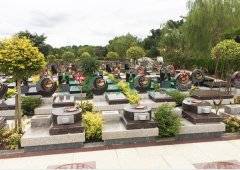 上；；懔靶腔鹎