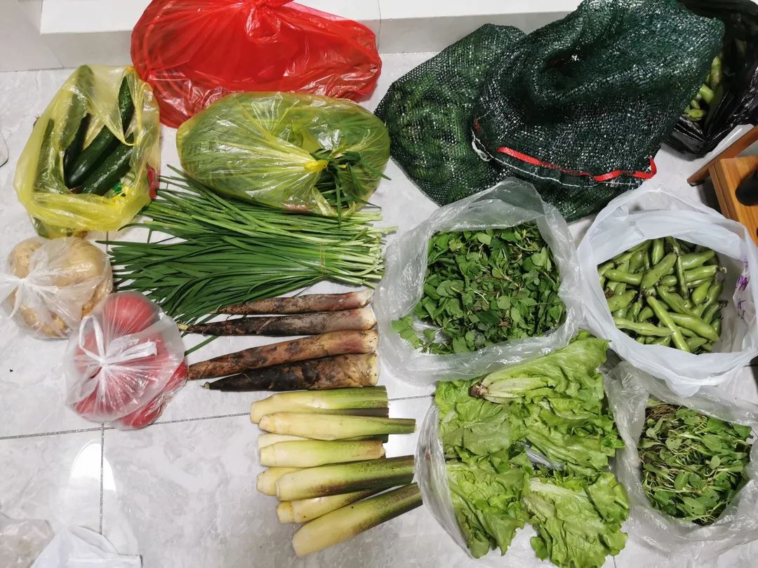 人生就是搏(中国集团)官方网站