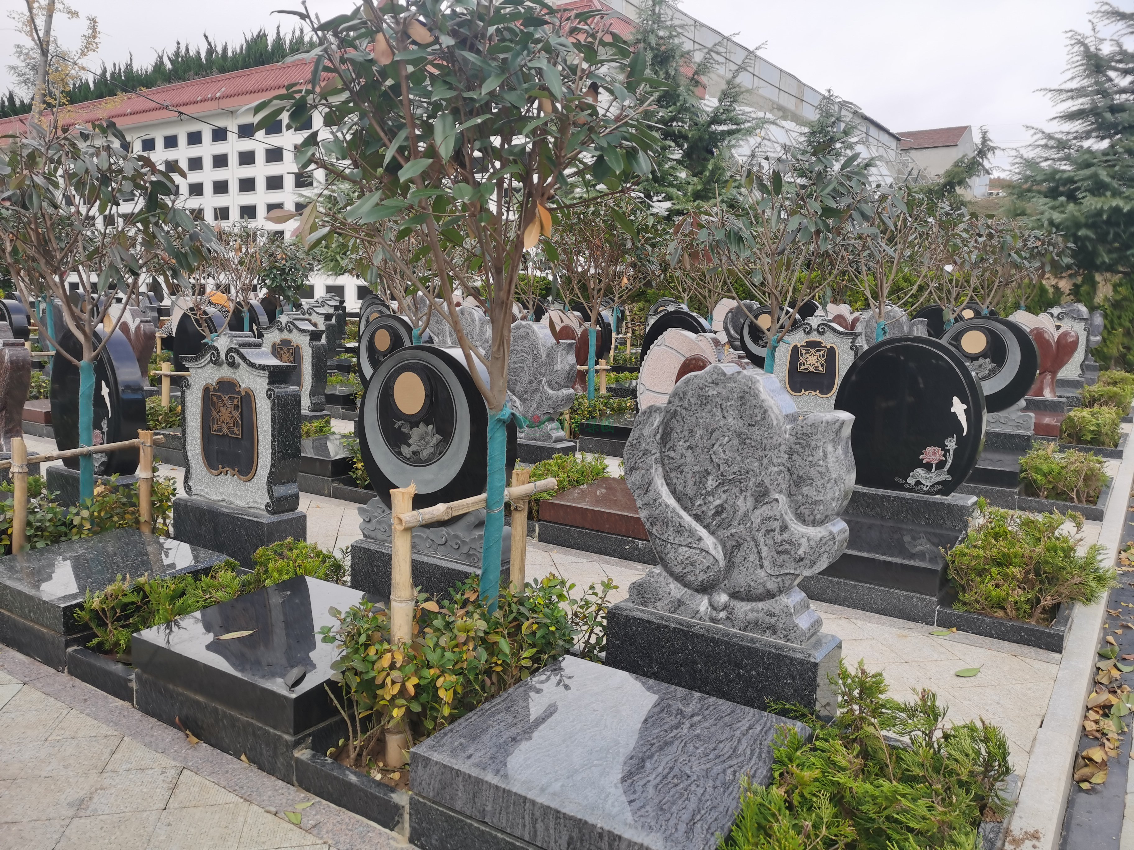 人生就是搏(中国集团)官方网站