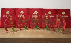 “人生就是搏杯”浙江省节地生态埋葬设计作品奖