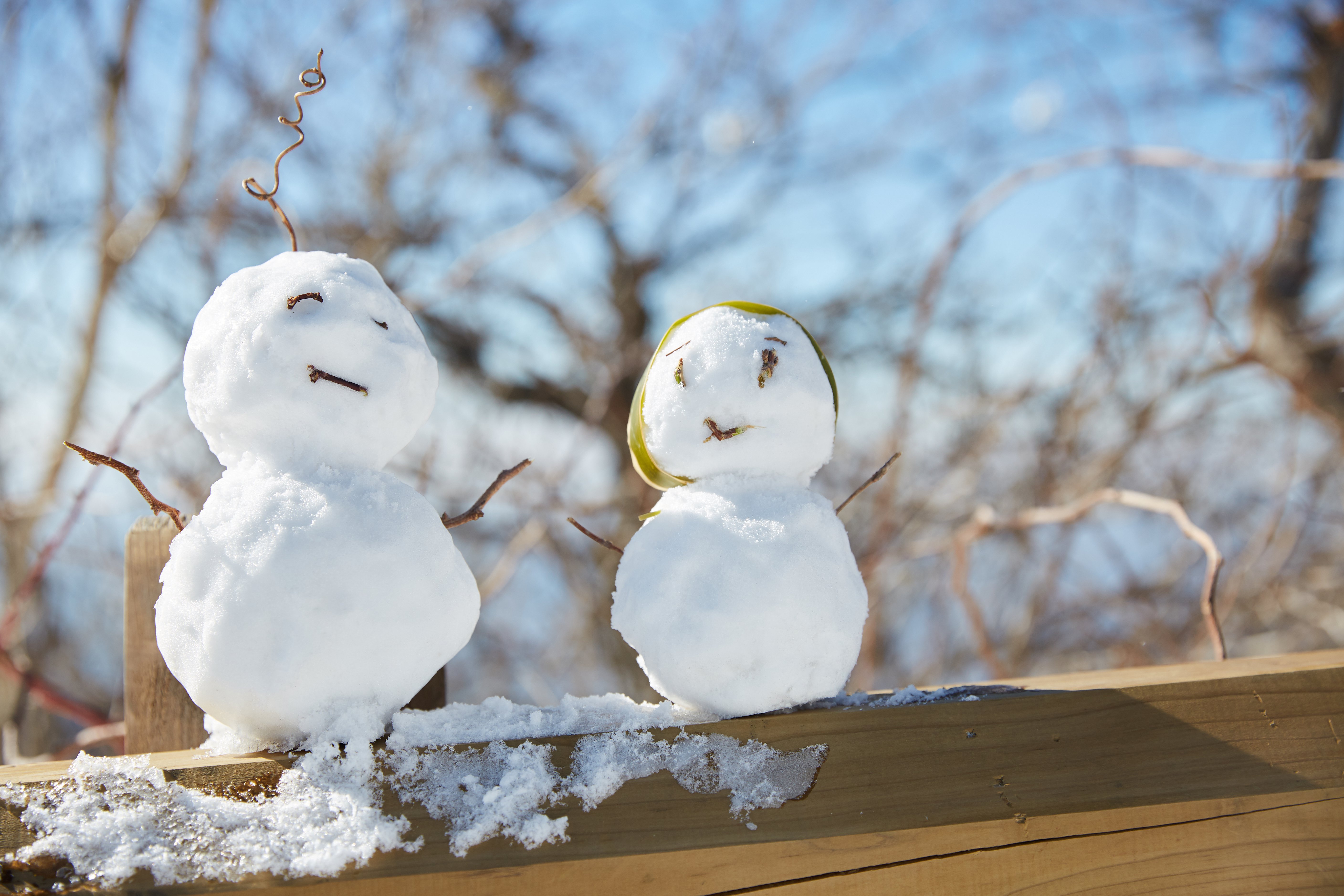 冬至，，，暖“杨”相伴 | 人生就是搏人全力配合各墓园冬至落葬