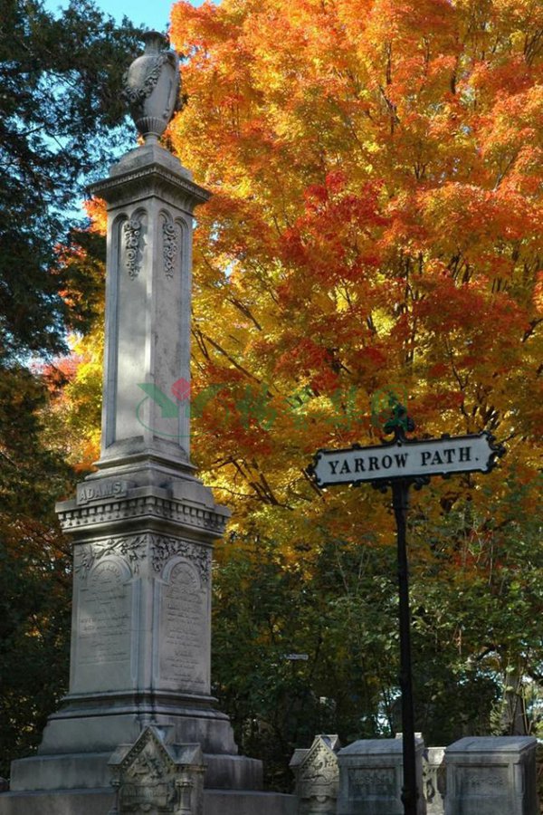 人生就是搏(中国集团)官方网站