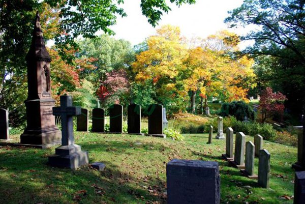 人生就是搏(中国集团)官方网站