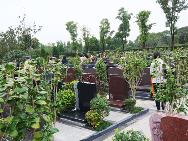 人生就是搏(中国集团)官方网站