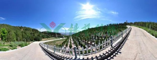 人生就是搏(中国集团)官方网站