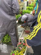 【人生就是搏人别样清明】2018年清明落葬事情圆满完成