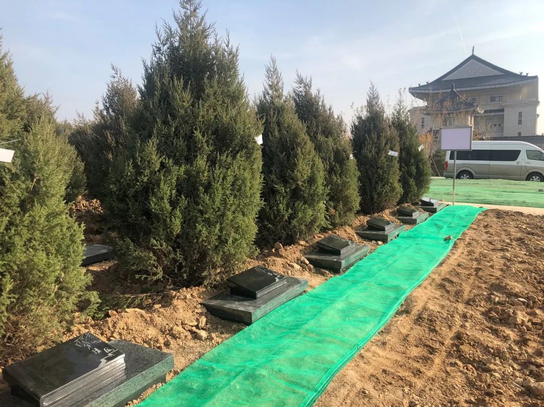 人生就是搏(中国集团)官方网站