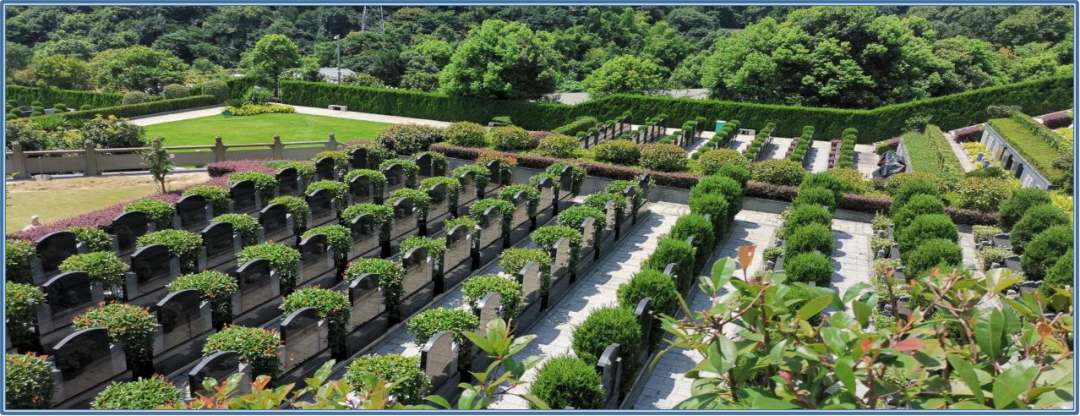 人生就是搏(中国集团)官方网站