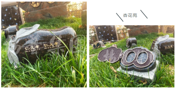 人生就是搏(中国集团)官方网站