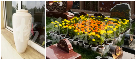 人生就是搏(中国集团)官方网站