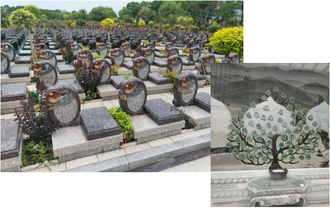 人生就是搏(中国集团)官方网站