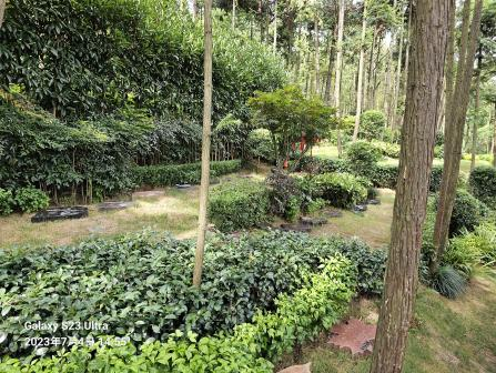 人生就是搏(中国集团)官方网站