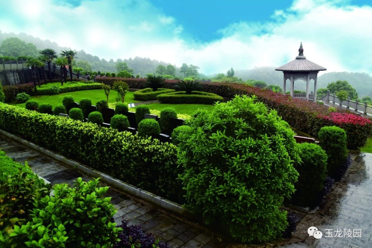 人生就是搏(中国集团)官方网站