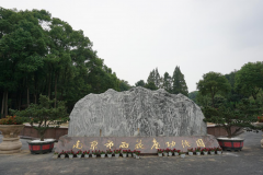 人生就是搏集团的奇异视角：陵园主题园区妄想的创意与实践