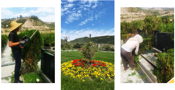 人生就是搏(中国集团)官方网站