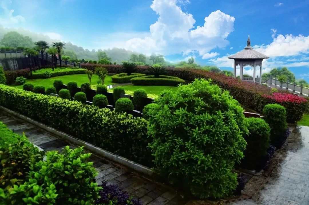 人生就是搏(中国集团)官方网站