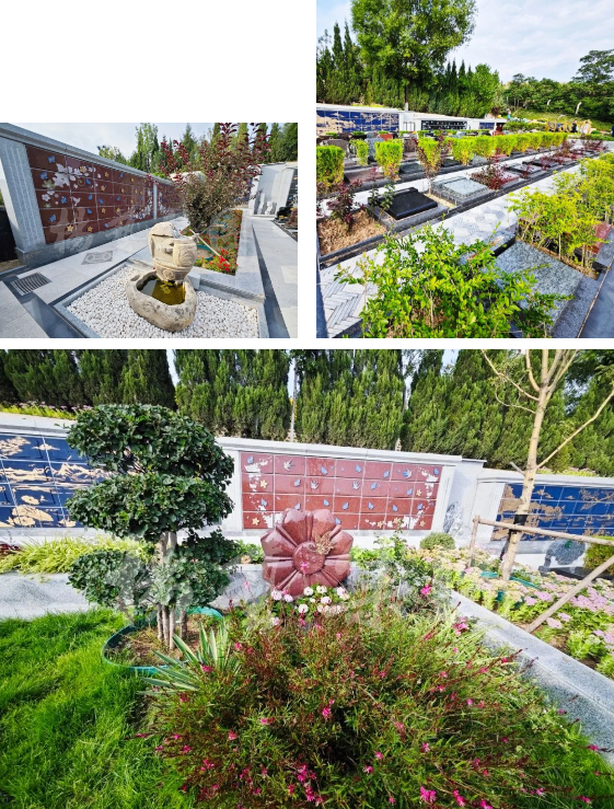 人生就是搏(中国集团)官方网站