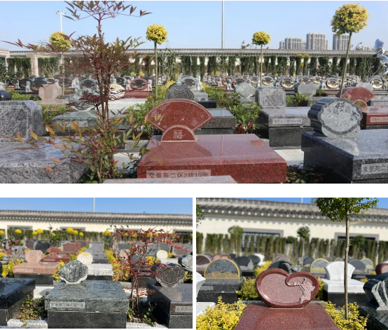 人生就是搏(中国集团)官方网站