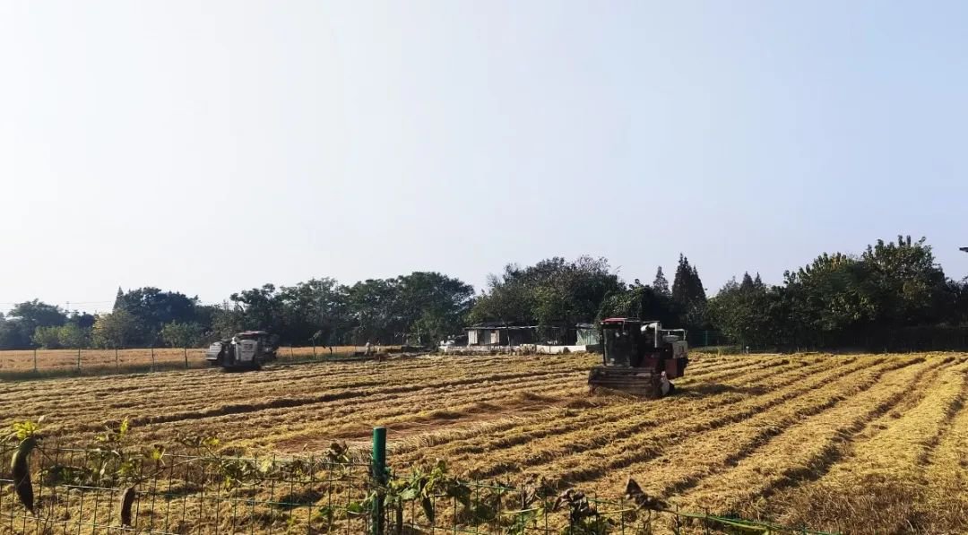 人生就是搏(中国集团)官方网站