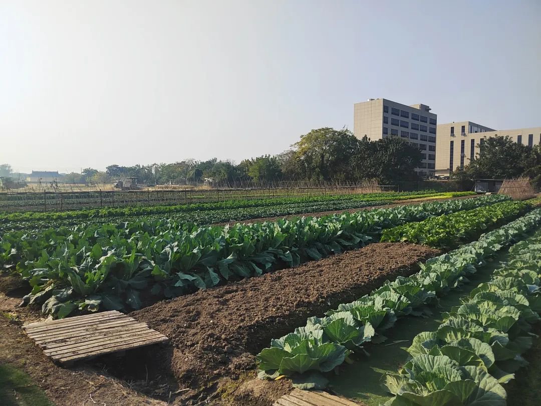 人生就是搏(中国集团)官方网站