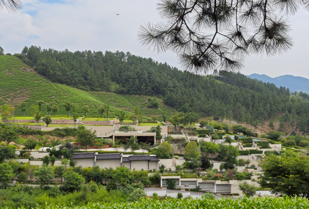 人生就是搏(中国集团)官方网站