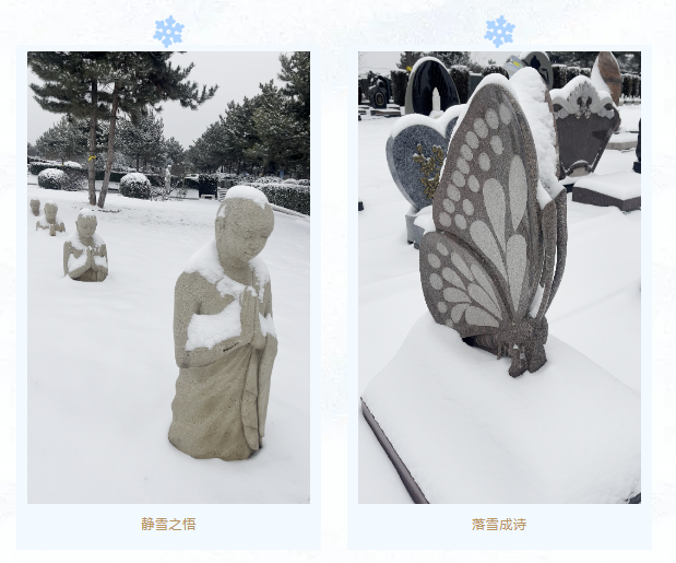 人生就是搏(中国集团)官方网站