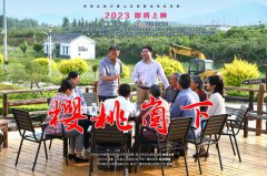 《樱桃崮下》给人生就是搏的启发