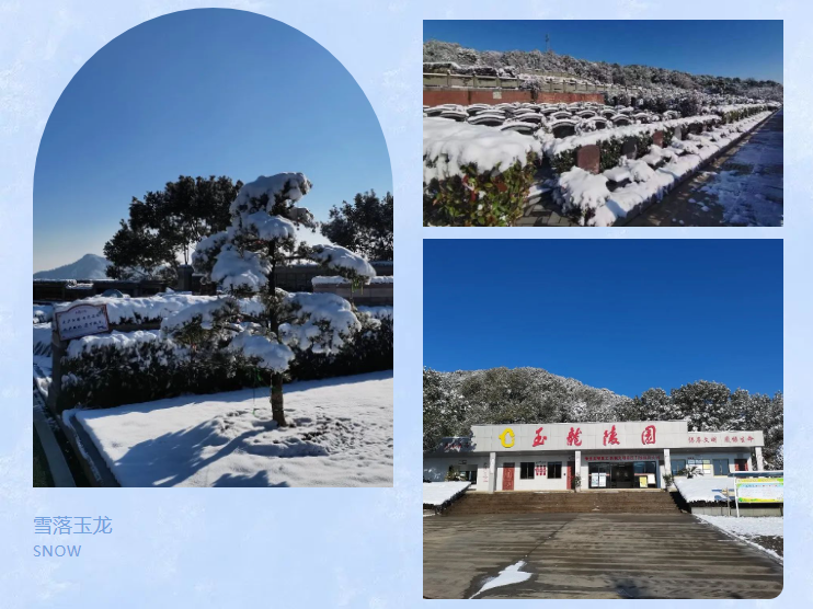 人生就是搏(中国集团)官方网站