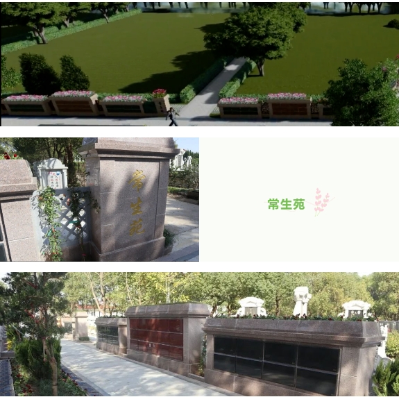 人生就是搏(中国集团)官方网站