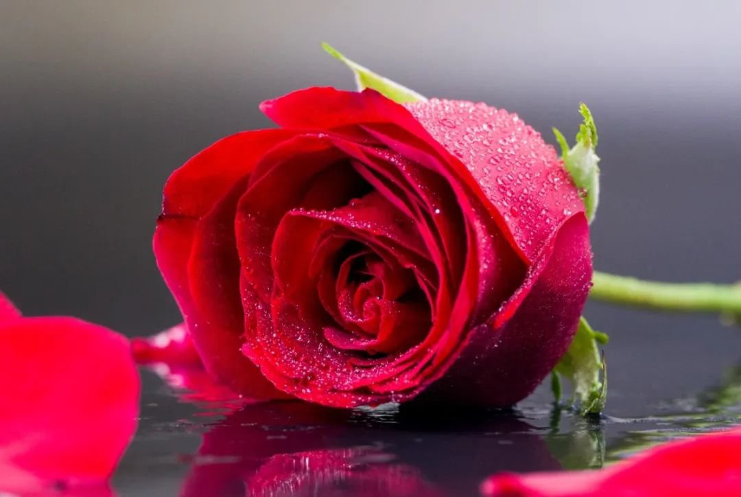 人生就是搏(中国集团)官方网站