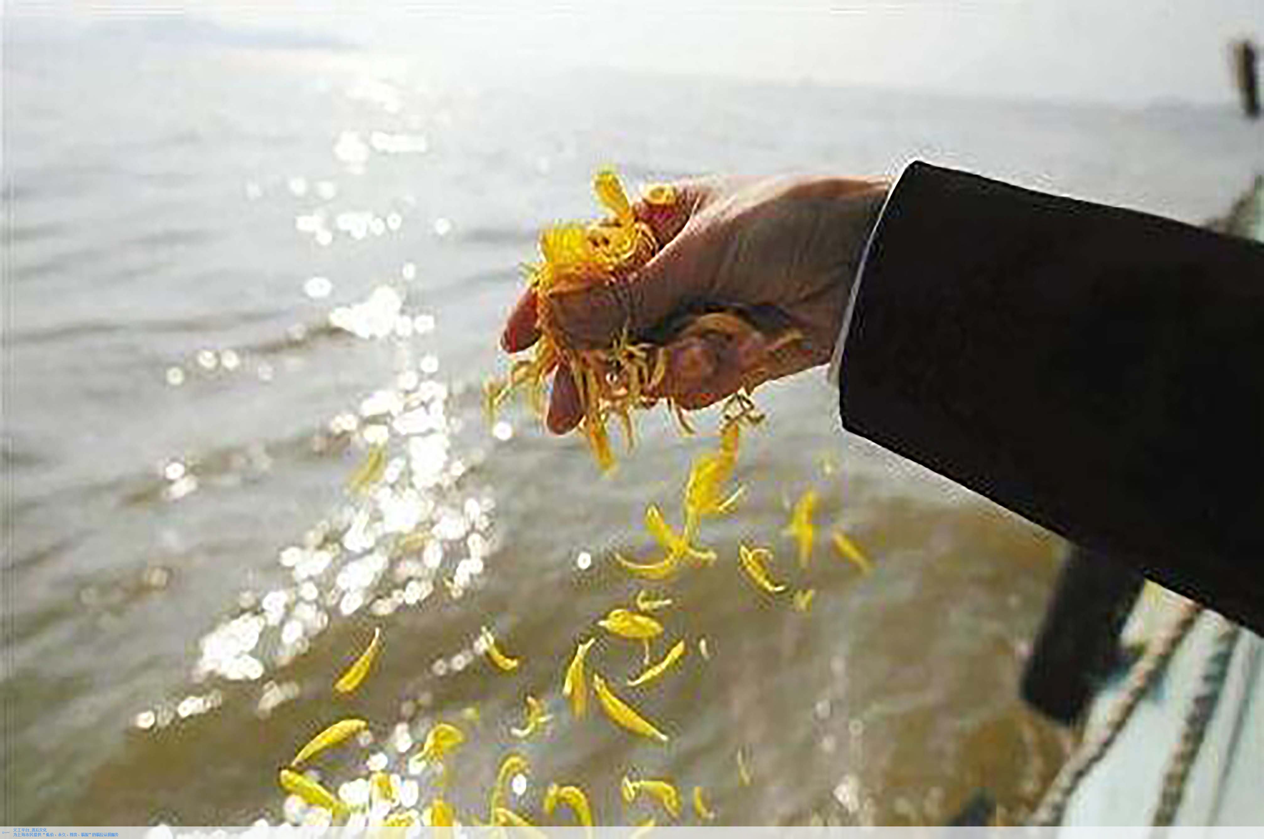 人生就是搏(中国集团)官方网站