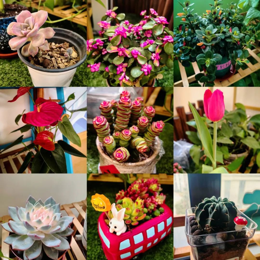 人生就是搏(中国集团)官方网站