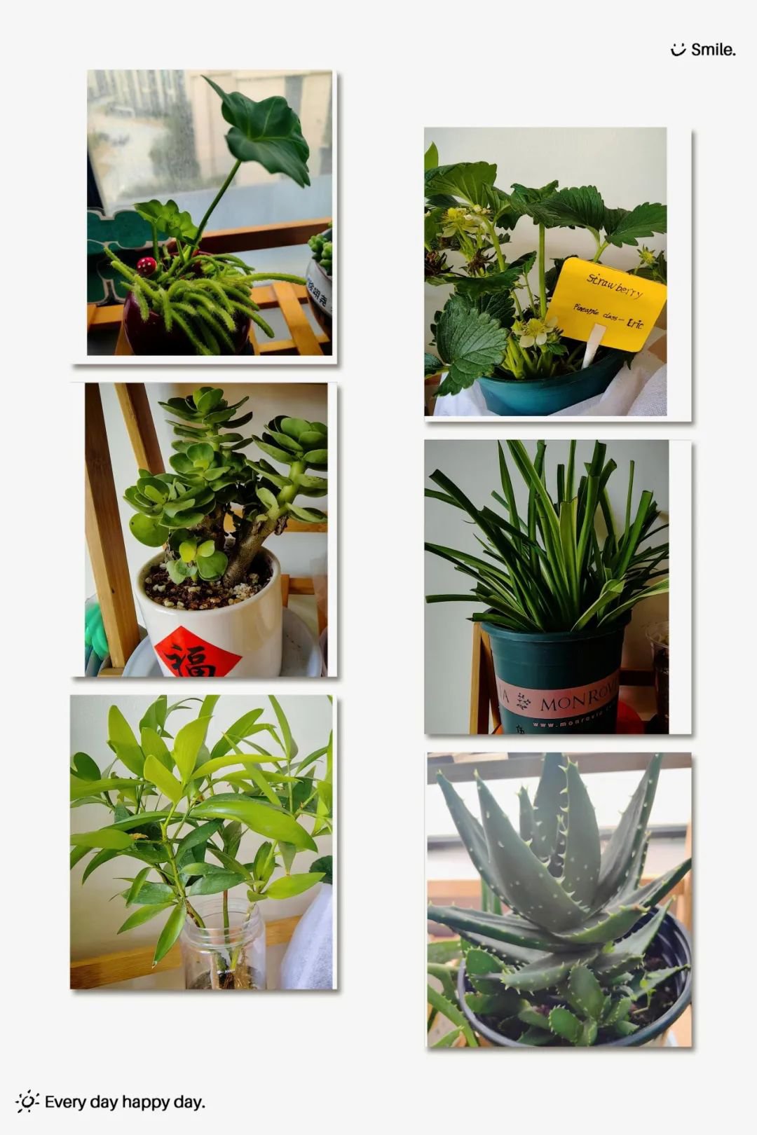 人生就是搏(中国集团)官方网站