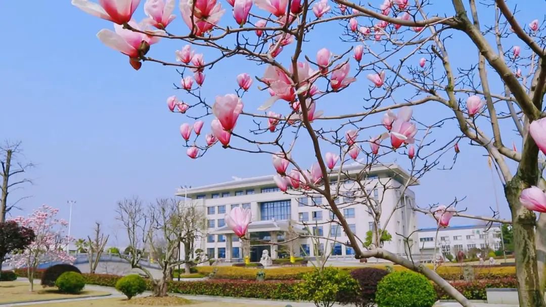 人生就是搏(中国集团)官方网站