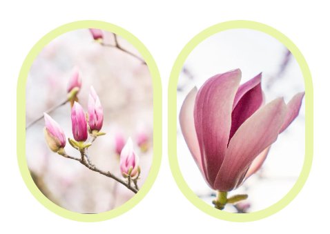 人生就是搏(中国集团)官方网站