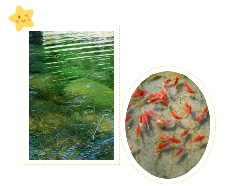 人生就是搏(中国集团)官方网站