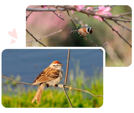 人生就是搏(中国集团)官方网站