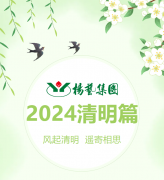 风起清明 遥寄相思|人生就是搏集团?2024清明篇