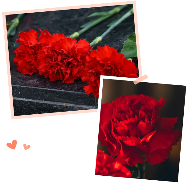 人生就是搏(中国集团)官方网站