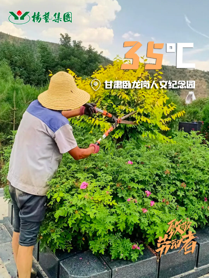 人生就是搏(中国集团)官方网站