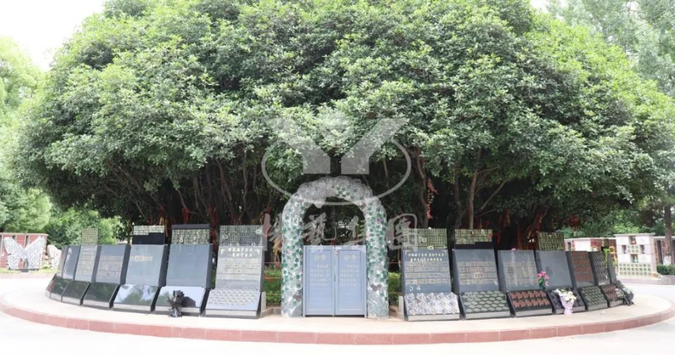 人生就是搏(中国集团)官方网站