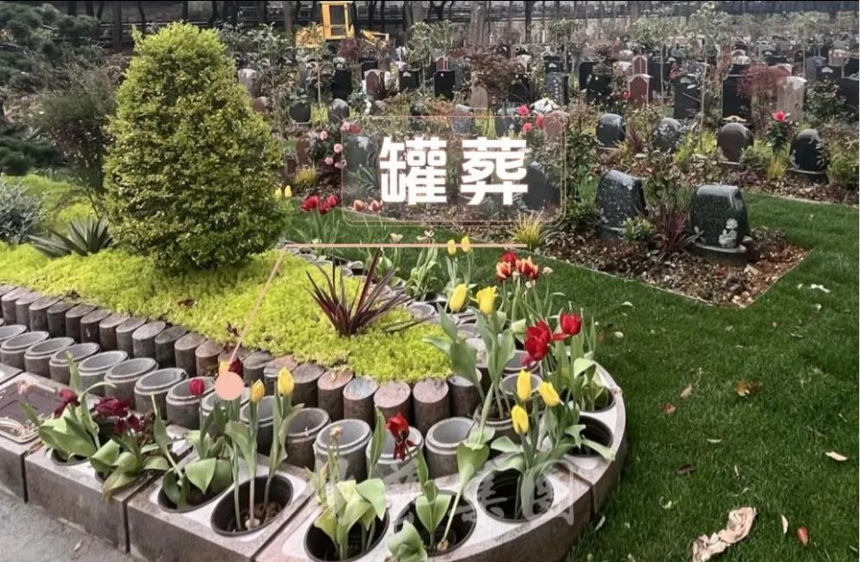 人生就是搏(中国集团)官方网站